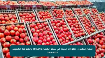 أسعار متغيرة.. تطورات جديدة في سعر الخضار والفواكه بالمنوفية الخميس 28-8-2025